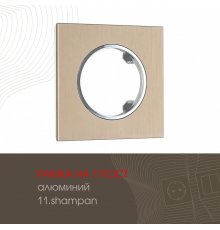 Рамка одноместная Arte Milano 502.11-1.shampan