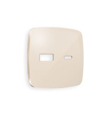 Лицевая панель для розетки 2USB тип A+C Ambrella Volt Omega OP3110