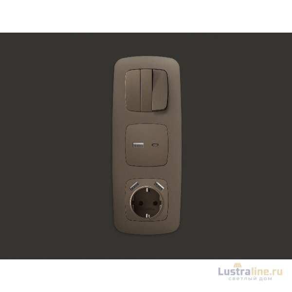 Лицевая панель для розетки с/з со шторками 2USB A+C Ambrella Volt Omega OP6400