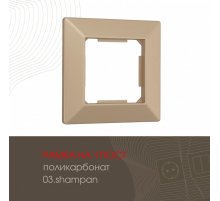 Рамка одноместная Arte Milano 503.03-1.shampan
