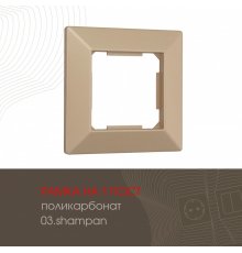 Рамка одноместная Arte Milano 503.03-1.shampan