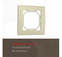 Рамка одноместная Arte Milano 503.06-1.shampan