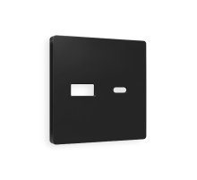 Лицевая панель для розетки 2USB тип A+C Ambrella Volt Alfa AP8110