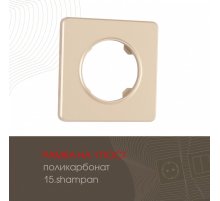 Рамка одноместная Arte Milano 502.15-1.shampan