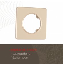 Рамка одноместная Arte Milano 502.15-1.shampan