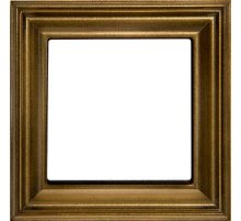 Рамка одноместная Jung EPD481AT Рамка одноместная Jung EPD481AT