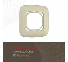 Рамка одноместная Arte Milano 505.05-1.shampan