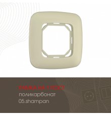 Рамка одноместная Arte Milano 505.05-1.shampan