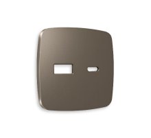 Лицевая панель для розетки 2USB тип A+C Ambrella Volt Omega OP6410