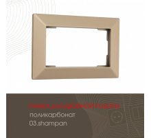 Рамка для двойной розетки Arte Milano 503.03-double.shampan