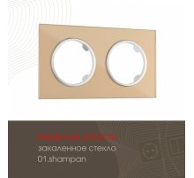 Рамка двухместная Arte Milano 502.01-2.shampan