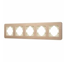 Рамка на 5 постов алюминиевая Arlight FRM-AKIRY-AL-5-GD 049736