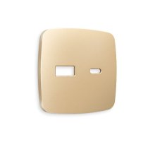 Лицевая панель для розетки 2USB тип A+C Ambrella Volt Omega OP6110