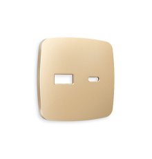 Лицевая панель для розетки 2USB тип A+C Ambrella Volt Omega OP6110