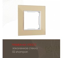 Рамка одноместная Arte Milano 503.02-1.shampan