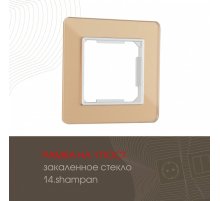 Рамка одноместная Arte Milano 503.14-1.shampan