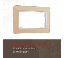 Рамка для двойной розетки Arte Milano 503.14-double.shampan