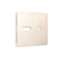 Лицевая панель для розетки 2USB тип A+C Ambrella Volt Alfa AP3110