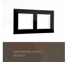 Рамка двухместная Arte Milano 503.02-2.black
