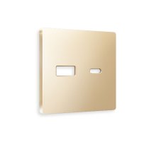 Лицевая панель для розетки 2USB тип A+C Ambrella Volt Alfa AP6110