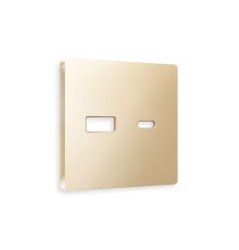 Лицевая панель для розетки 2USB тип A+C Ambrella Volt Alfa AP6110