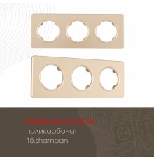 Рамка трехместная Arte Milano 502.15-3.shampan