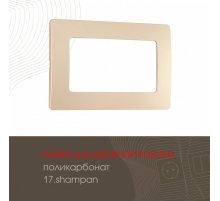 Рамка для двойной розетки Arte Milano 517.17-double.shampan