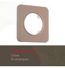 Рамка одноместная Arte Milano 502.07-1.shampan