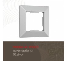 Рамка одноместная Arte Milano 503.03-1.silver