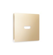 Лицевая панель для HDMI розетки Ambrella Volt Alfa AP6140