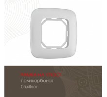 Рамка одноместная Arte Milano 505.05-1.silver