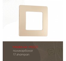Рамка одноместная Arte Milano 517.17-1.shampan