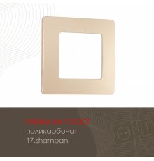 Рамка одноместная Arte Milano 517.17-1.shampan