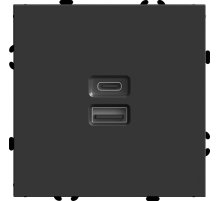 Розетка 2-местная USB + Type C Stekker RST10-5115-05 Эмили 49853