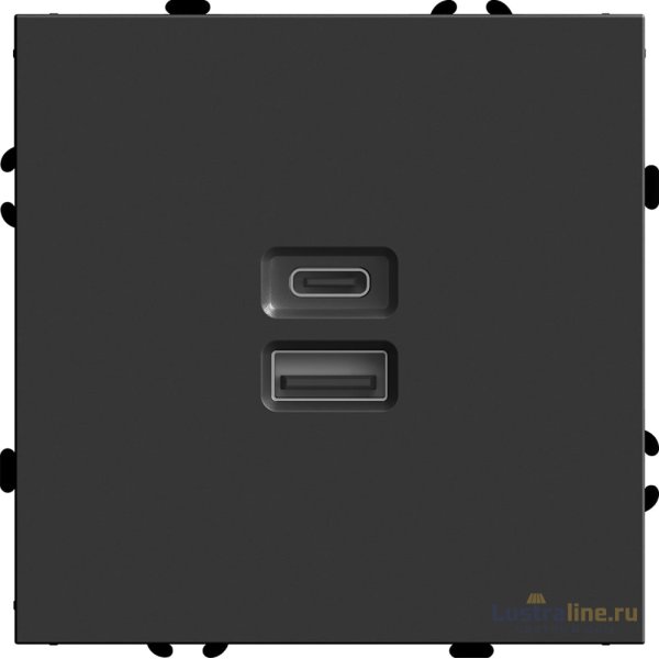 Розетка 2-местная USB + Type C Stekker RST10-5115-05 Эмили 49853