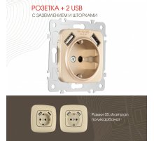 Розетка с заземлением, шторками + 2 USB Arte Milano 205.47-1.shampan