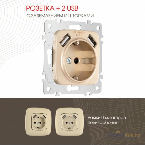 Розетка с заземлением, шторками + 2 USB Arte Milano 205.47-1.shampan