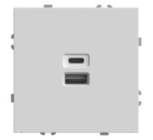 Розетка 2-местная USB + Type C Stekker RST10-5115-01 Эмили 49879