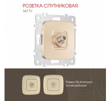 Розетка спутниковая SAT TV Arte Milano 205.42-1.shampan
