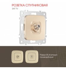 Розетка спутниковая SAT TV Arte Milano 205.42-1.shampan