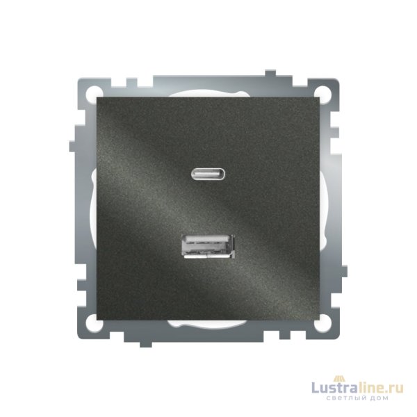 Розетка 2-местная USB + type C Stekker Катрин GLS10-7116-06 50052