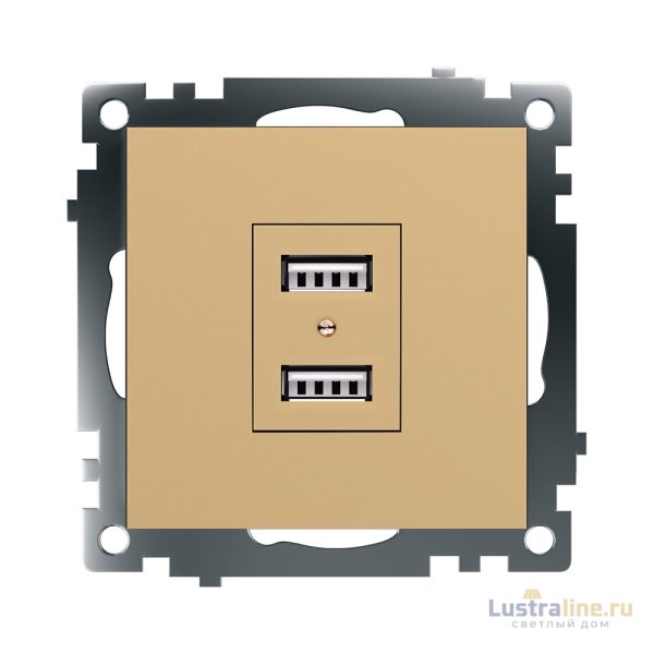 Розетка 2-местная USB Stekker Катрин GLS10-7115-08 49229