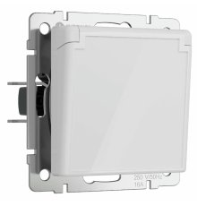 Розетка с заземлением, крышкой и шторками Werkel 4690389197338 W1171241 a064013