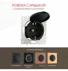 Розетка с заземлением, шторками и защитной крышкой Arte Milano 202.41-1.black