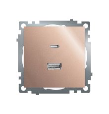 Розетка 2-местная USB + type C Stekker Катрин GLS10-7116-02 50056