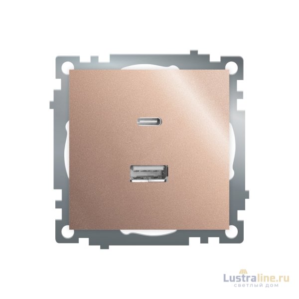 Розетка 2-местная USB + type C Stekker Катрин GLS10-7116-02 50056
