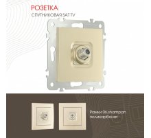 Розетка SAT TV Arte Milano 206.42-1.shampan