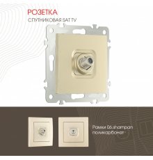 Розетка SAT TV Arte Milano 206.42-1.shampan