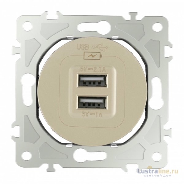 Розетка USB 2.1А+1А Arte Milano 202.46-1.shampan