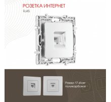Розетка RJ45 Arte Milano 217.45-1.silver